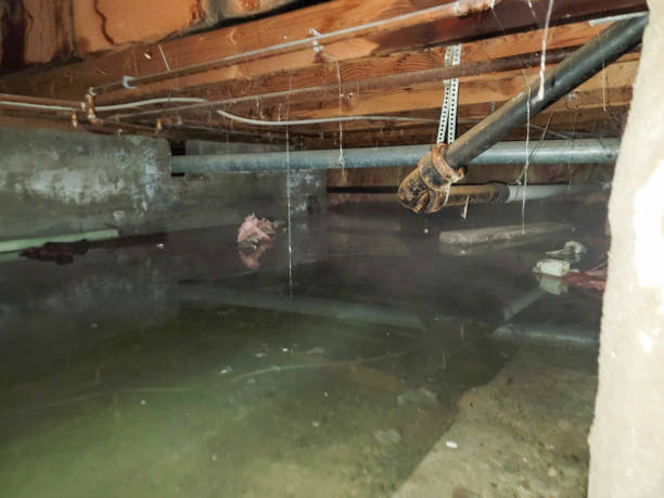 Best 24-hour water damage restoration  in Church Hill, TN
