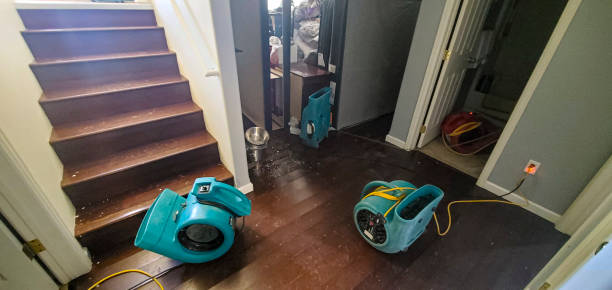 Best Residential water damage restoration  in Church Hill, TN