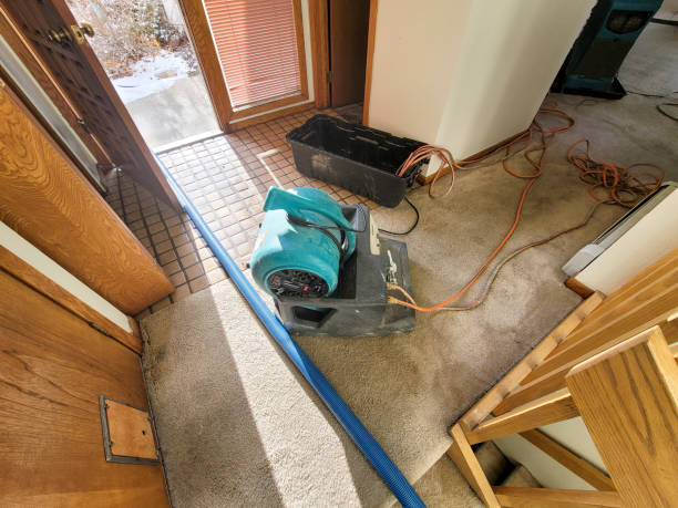 Best Commercial water damage restoration  in Church Hill, TN