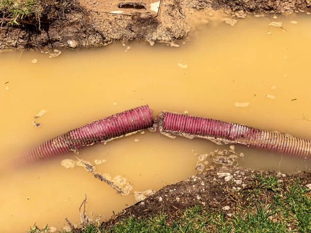 Best Water damage restoration near me  in Church Hill, TN