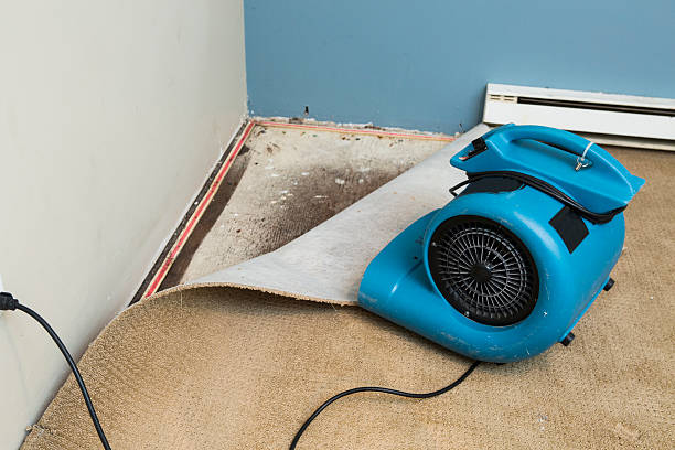 Best Flooded house restoration  in Church Hill, TN